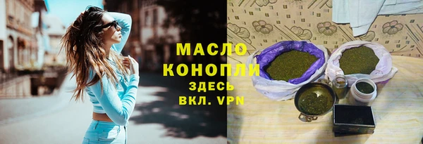 индика Баксан