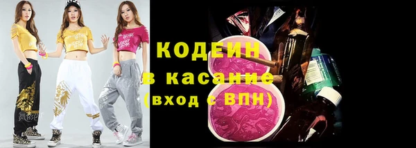 индика Баксан