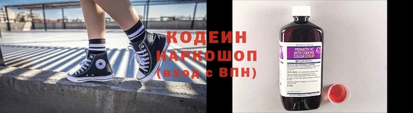 индика Баксан