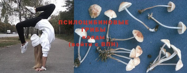 шишки Балабаново