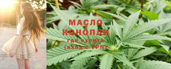 индика Баксан