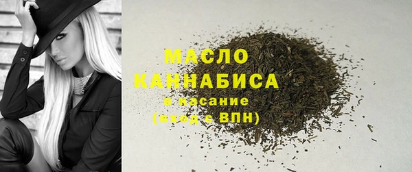 индика Баксан