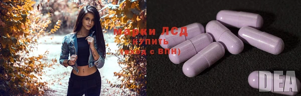 шишки Балабаново