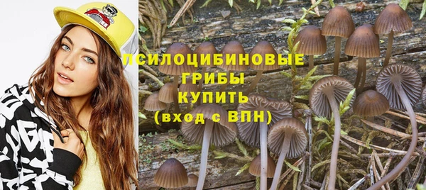 индика Баксан