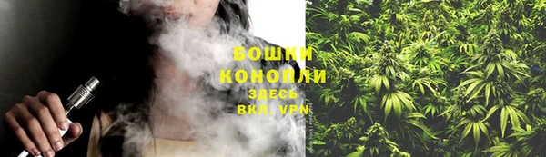 индика Баксан