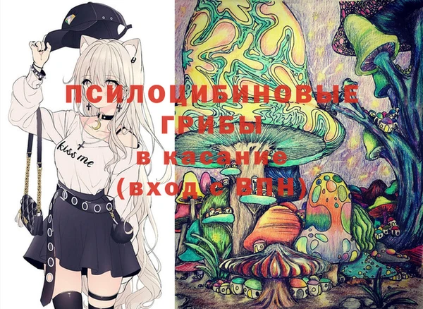шишки Балабаново