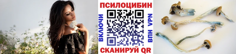 Галлюциногенные грибы MAGIC MUSHROOMS  Яхрома 