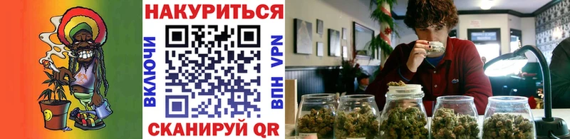 Бошки Шишки семена  Яхрома 